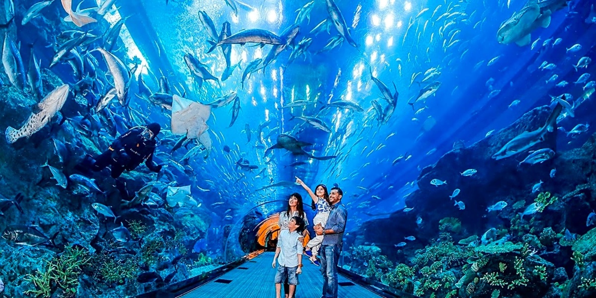 Dubai Aquarium & Penguin Encounter 2026: Tickets & Prices