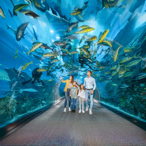 Burj Khalifa And Aquarium Tickets