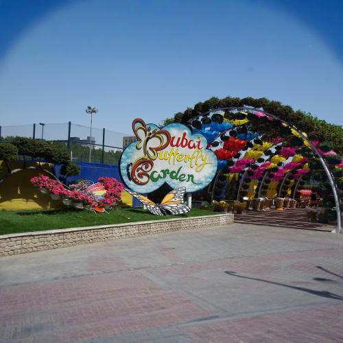 Butterfly Garden Dubai