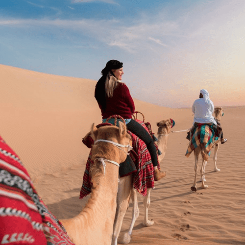 camel