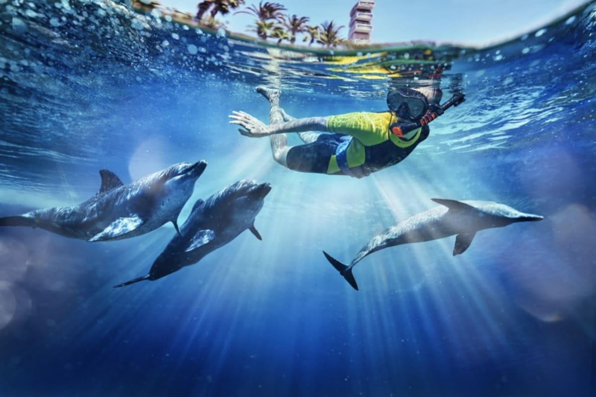 Dolphin Bay Atlantis