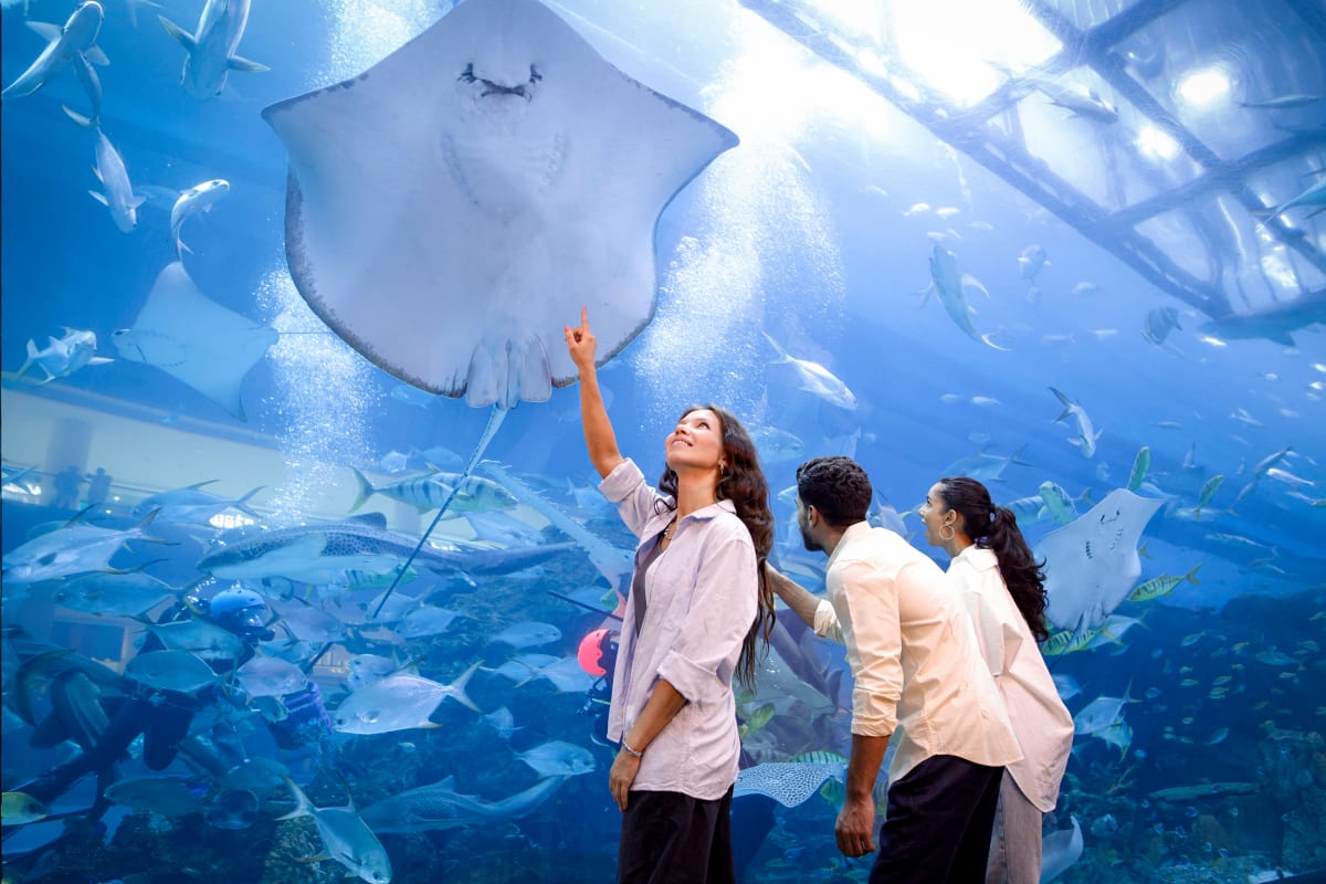 Dubai Aquarium and Underwater Zoo