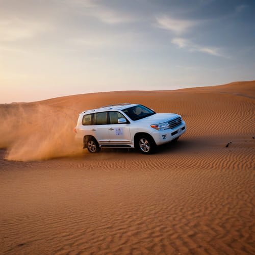 Dubai Desert Safari