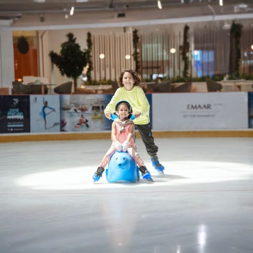 ice-rink