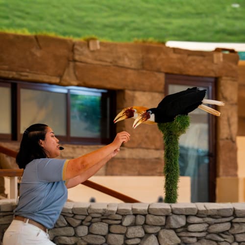 https://d2cazmkfw8kdtj.cloudfront.net/Tour-Images/Final/Dubai-Safari-Park-5109/1759834175596_S.jpg