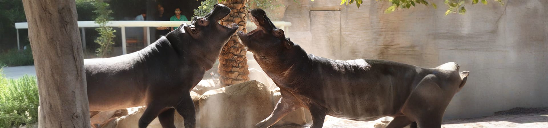 Emirates-Park-Zoo1