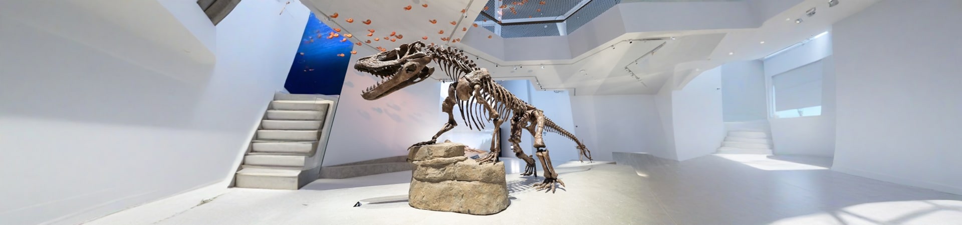 Natural-History-Museum-Abu-Dhabi