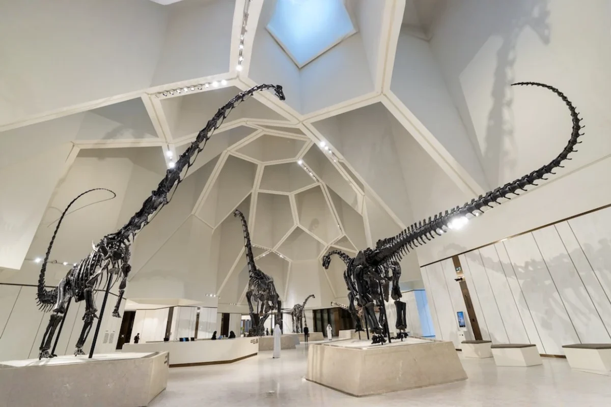 Natural History Museum Abu Dhabi