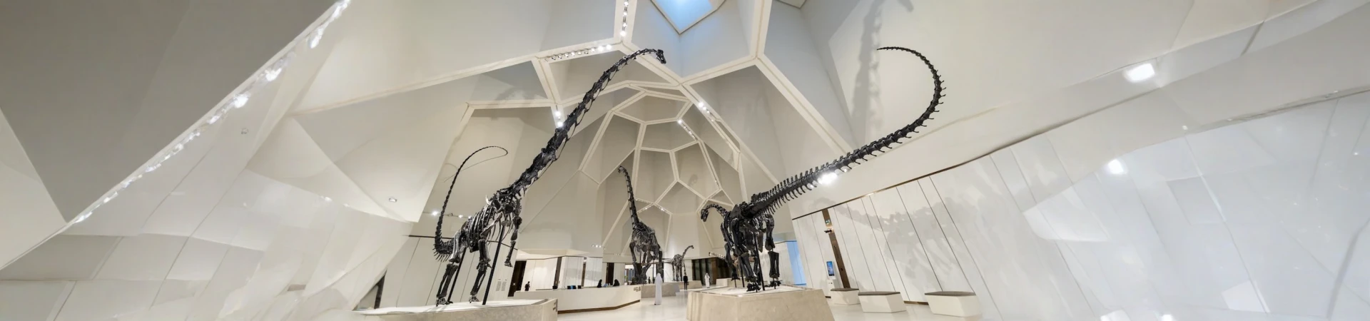 Abu_Dhai_Natural_Museum