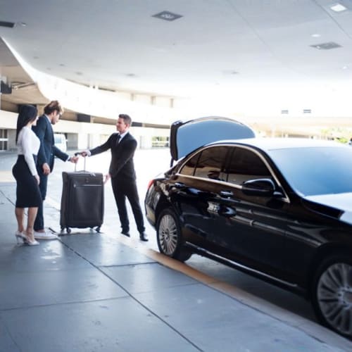 Private Vehicle Half Day With Driver