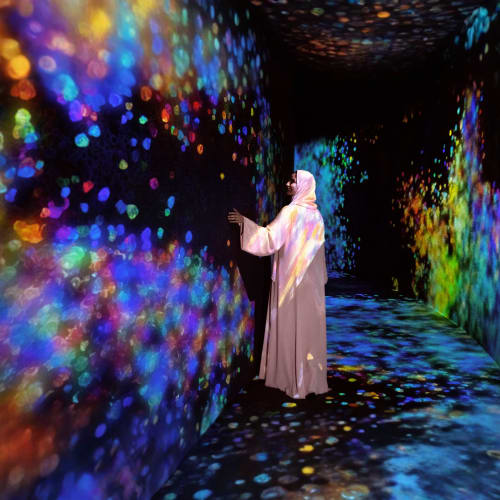 TeamLab Phenomena - TeamLab Phenomena Admission Tickets - Dated Private Transfers