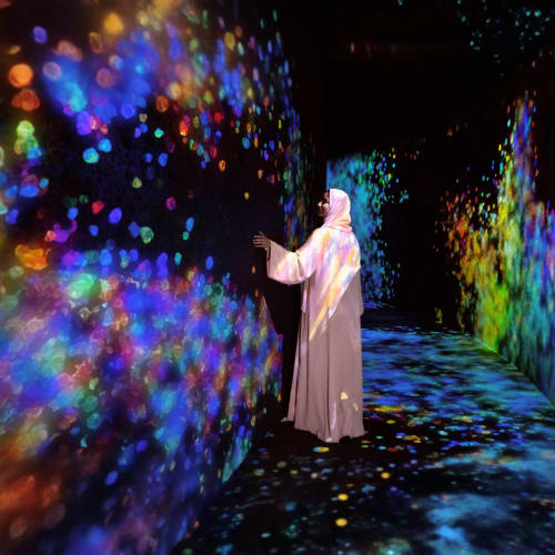 TeamLab Phenomena Abu Dhabi