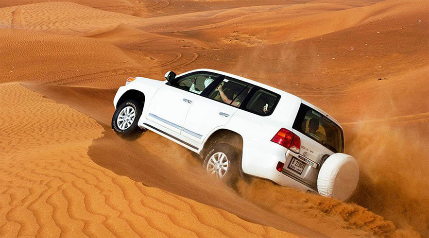 liwa-safari-tour