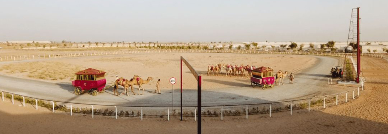 camelfarmbanner