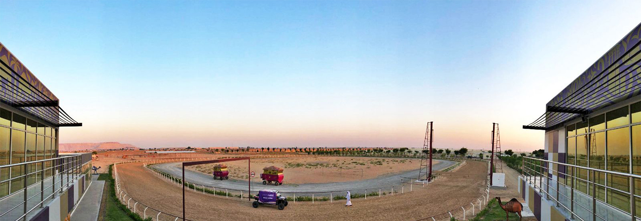 cameltriptofarm
